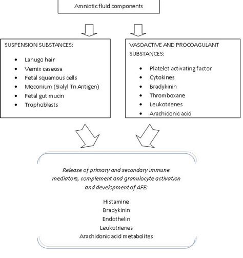 Amniotic Fluid Embolism - Cancer Therapy Advisor