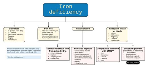 Iron Deficiency Anemia Algorithm