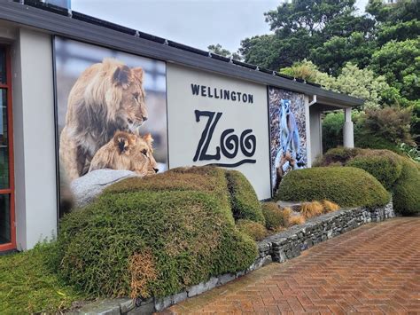 Wellington Zoo - Advisornewzealand Directory of NZ