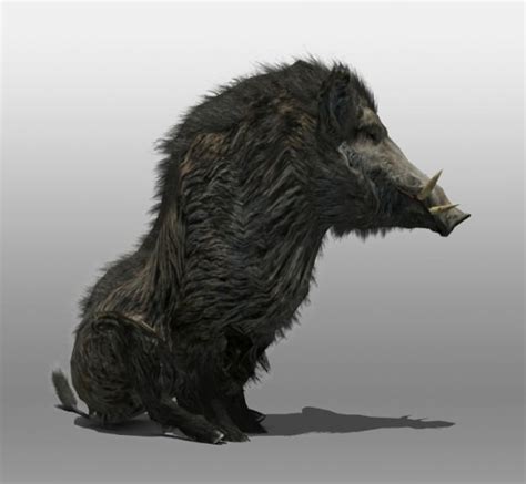 Wild Boar 3D model animated rigged | CGTrader