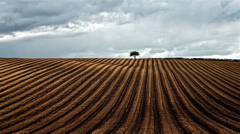 Wallpaper : brown, white, black, field, clouds, landscape, grey, spring, Nikon, overcast ...