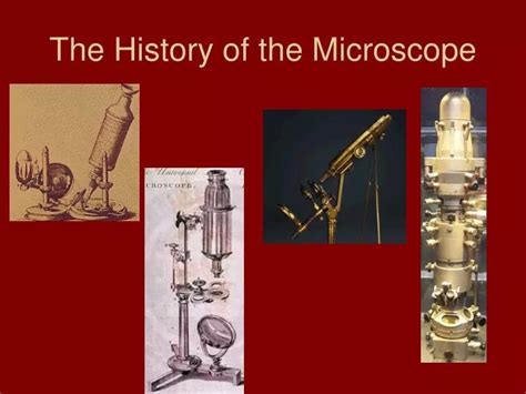 PPT - The History of the Microscope PowerPoint Presentation - ID:4446513