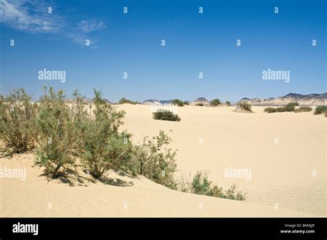 Desert near Bahariya Oasis, Libyan Desert, Egypt Stock Photo - Alamy