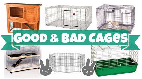 Good vs Bad Rabbit Cages – HousePetsCare.com