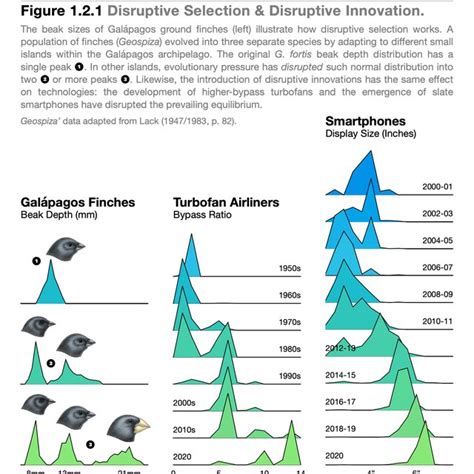 The beak sizes of Galápagos ground finches (left) illustrate how... | Download Scientific Diagram