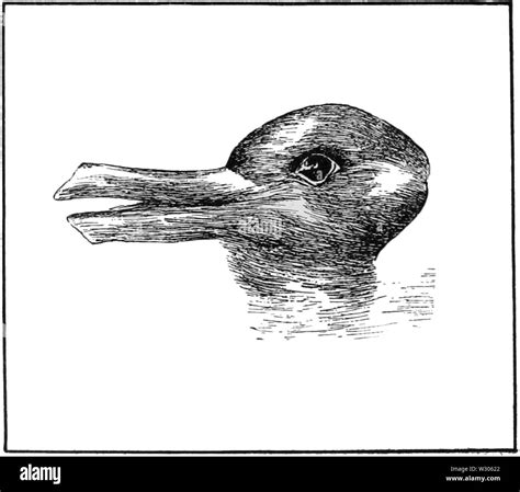 Optical illusion duck rabbit hi-res stock photography and images - Alamy