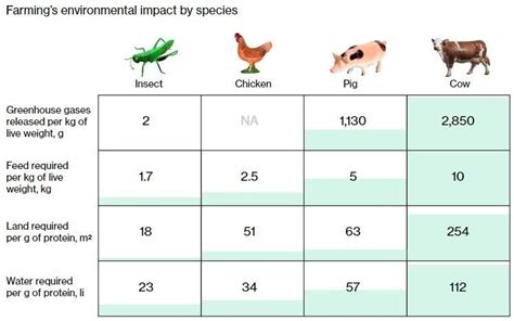 Is Eating Bugs Really About Saving the Planet?