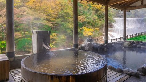 6 Nikko Ryokan with Private Onsen - Erika's Travelventures