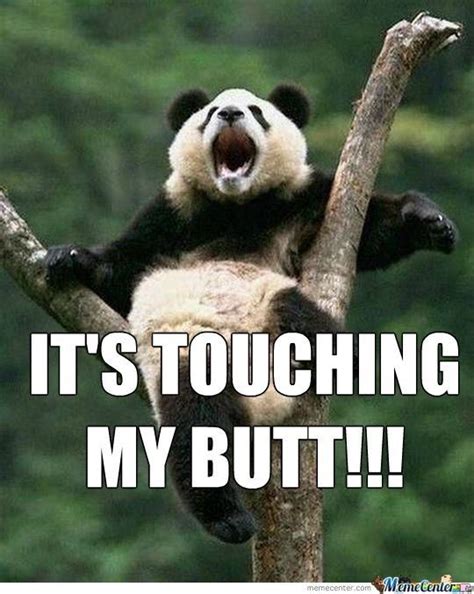 15 Incredibly Funny Panda Memes | Funny panda pictures, Panda funny ...