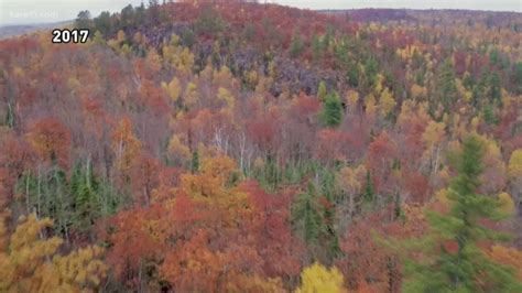 Find the best Minnesota fall colors using this map | kare11.com