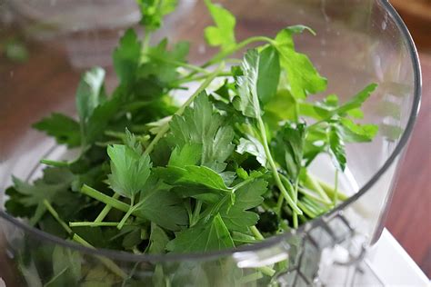 Easy Parsley Pesto Pasta Recipe - Living Vegan