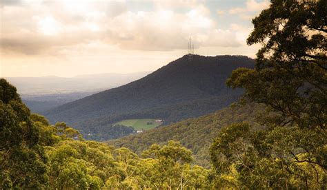 What to do in the Dandenong Ranges - Australian Traveller