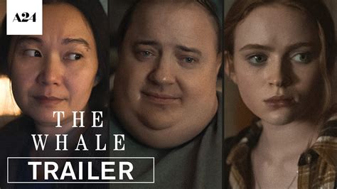 Video Thumbnail: The Whale | Official Trailer HD | A24 | HITPLAY News