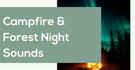 Campfire & Forest Night Sounds Online Web Player - AmbientNoise.Online