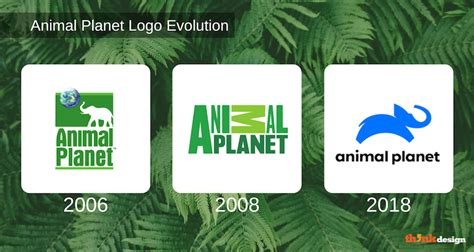 Top 163 + Animal planet logo - Inoticia.net