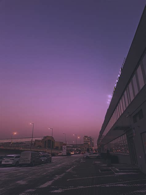 purple on Tumblr