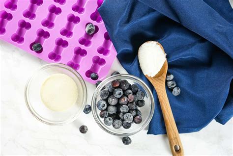 Gummy Coconut Oil Dog Treats With Blueberries Recipe