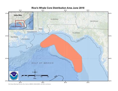 Rice's Whale Core Distribution Area Map & GIS Data | NOAA Fisheries