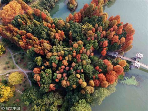 Wuhan East Lake Park in autumn view - CGTN