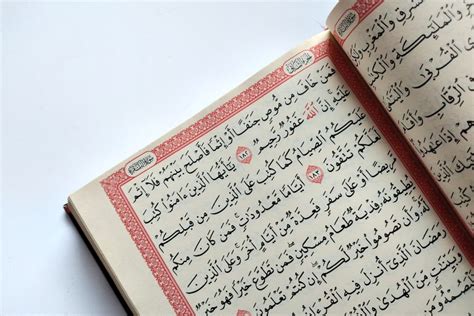 9 Contoh Bacaan Mad Tamkin dalam Al Qur’an beserta Surat dan Ayatnya Lengkap – Blog Mamikos