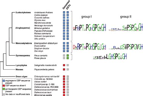 Distribution of CEP genes found in plant genomes and EST collections.... | Download Scientific ...