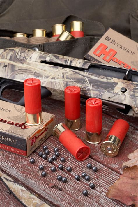 Buckshot, Explained | Home Defense | The Shooter's Log