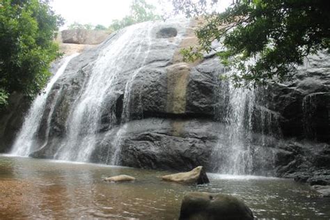 Thommankuthu Waterfalls (Thodupuzha) - 2020 All You Need to Know BEFORE You Go (with Photos ...