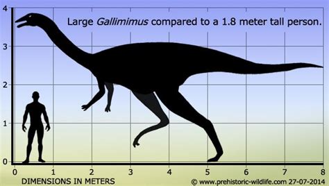 Gallimimus | Prehistoric wildlife, Prehistoric animals, Prehistoric ...