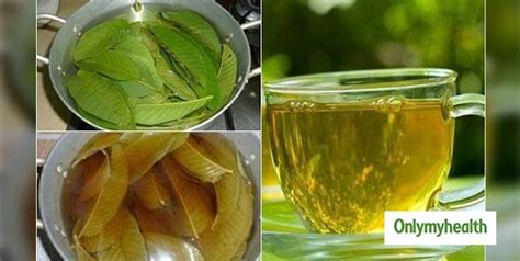 Guava Leaf Tea: Know The Benefits and Side Effects Of This Herbal Tea