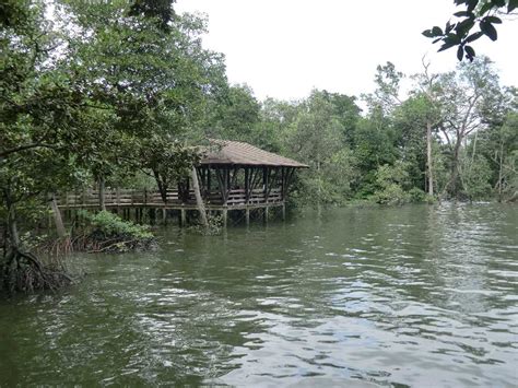 Singapore Walking Routes: Sungei Buloh Wetland Reserve Wetland Park