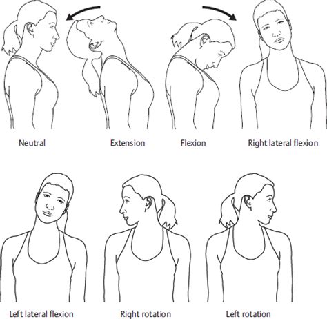 Neck Assessment | Musculoskeletal Key