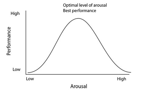 yerkes-dodson-law-graph - Andy The RD