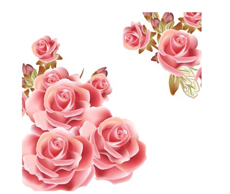 Pink Flower Background Png – Idalias Salon