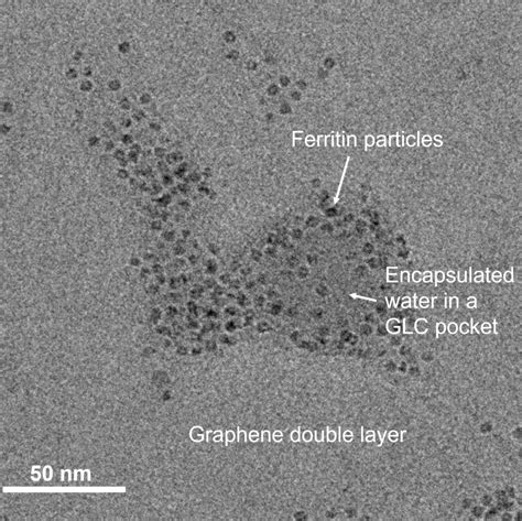 Graphene Liquid Cells for TEM imaging - VitroTEM