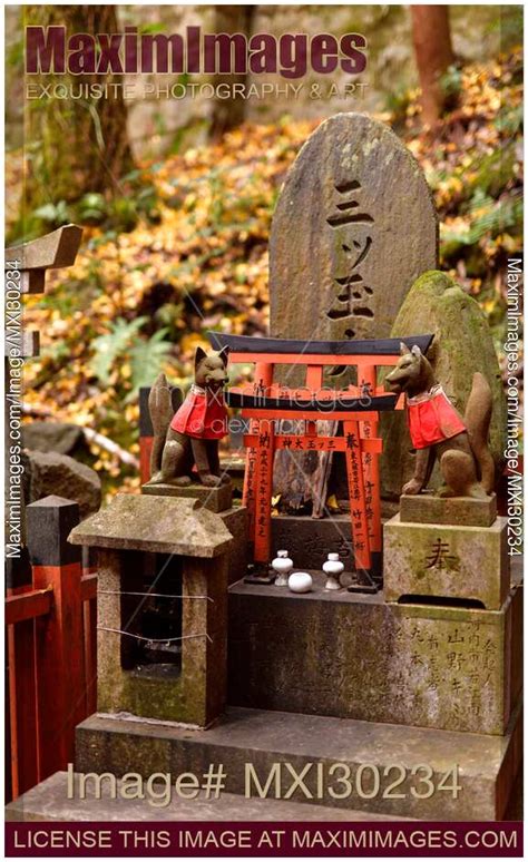 Photo of Private worship shrine with Kitsune foxes at Fushimi Inari ...