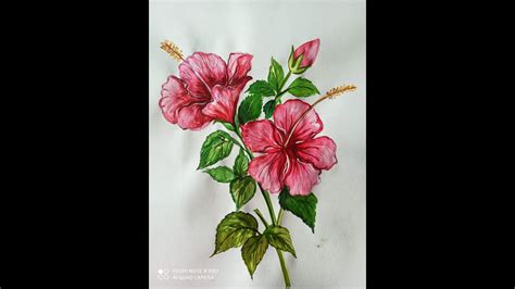 How to paint Hibiscus flower, Nature Study - YouTube