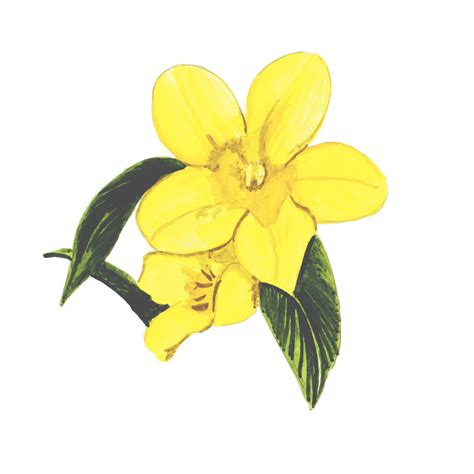 Vinyl Decal for Window Home or Wall - South Carolina State Flower Yellow Jasmine | eBay
