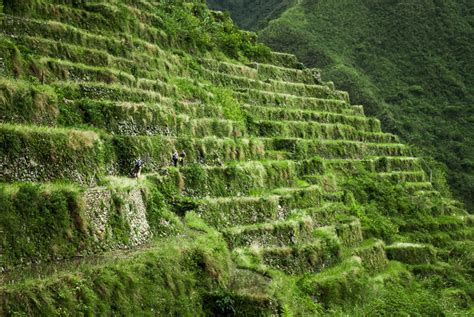 Batad Rice Terraces