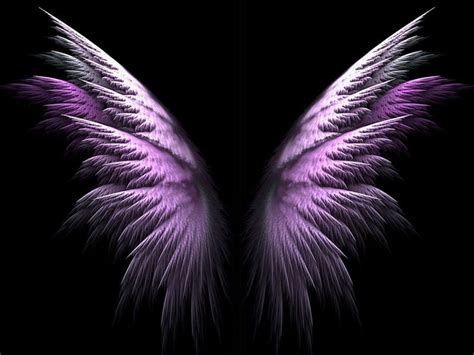 Purple Angel Wings Wallpaper