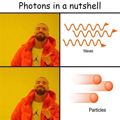 Mmm gotta love me some duality memes : r/physicsmemes