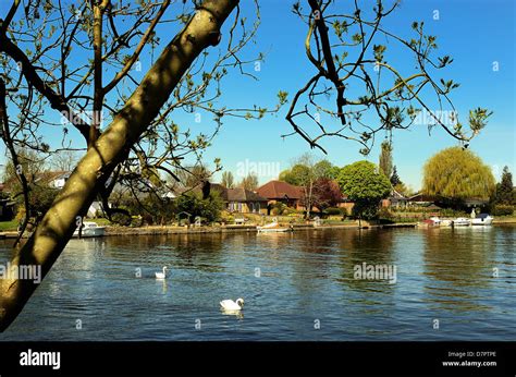 Riverside at Staines on Thames Surrey Stock Photo - Alamy