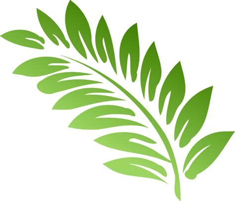 Fern clipart 20 free Cliparts | Download images on Clipground 2024