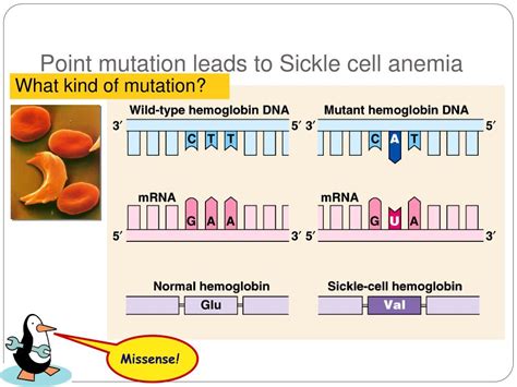 PPT - Chapter 17~ From Gene to Protein PowerPoint Presentation, free ...