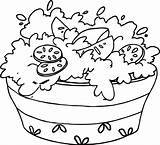 Salad Coloring Pages sketch template