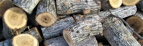 Free Firewood: 8 Places to Find It Near You • Insteading