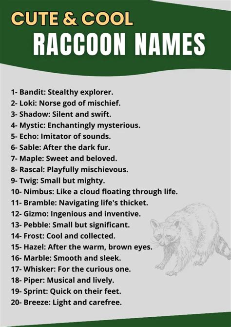 320+ Cute & Cool Raccoon Names [Fun & Meaningful Ideas]