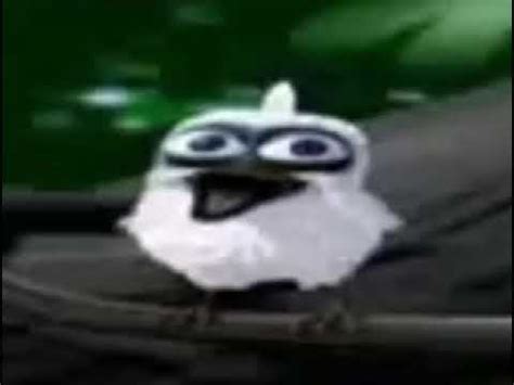 SCREAMING WHITE BIRD LAUGHING MEME - YouTube