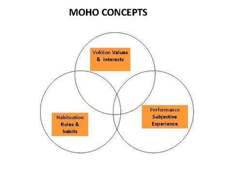 MODEL OF HUMAN OCCUPATION MOHO THE BEGINNING MOHO