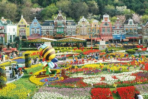 Everland Tour & Korean Culture Experience | No.1 Korea Tour Agency