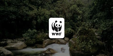 Helping People, Wildlife, and Forests in Viet Nam | Publications | WWF